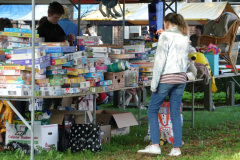 31-DSC01244
