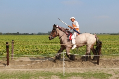 11-IMG_0786