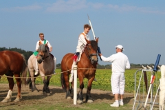 15-IMG_0832