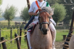 28-IMG_0816