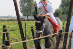 29-IMG_0805