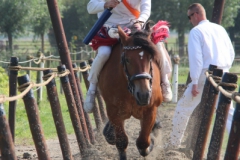 31-IMG_0820