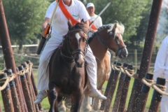 33-IMG_0822