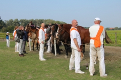 36-IMG_0829