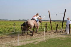 37-IMG_0827