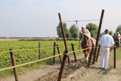 47-IMG_0854