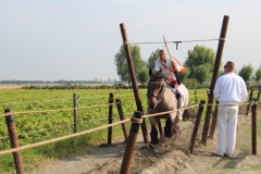 49-IMG_0856