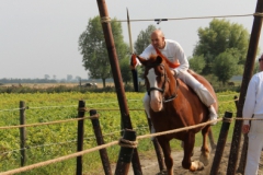 50-IMG_0788