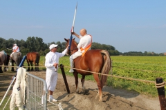 51-IMG_0859