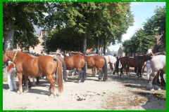 GRV_ringrijden_07-09-2019-10