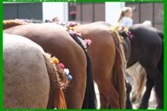 GRV_ringrijden_07-09-2019-12