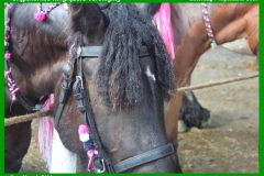 GRV_ringrijden_07-09-2019-2