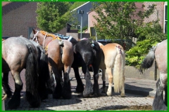 GRV-14-05-2022-21