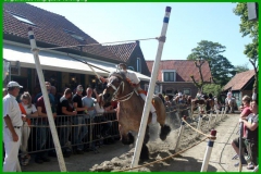 GRV-14-05-2022-71