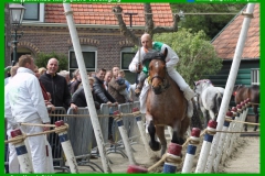 GRV-27-04-2019-33